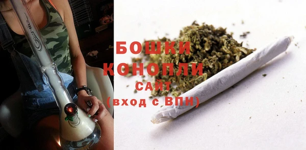 дживик Нягань