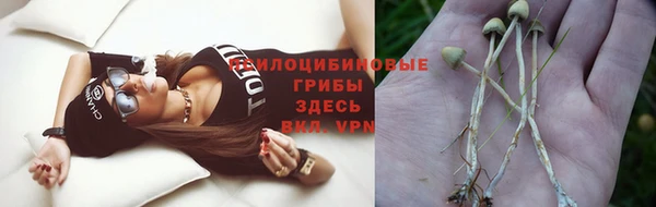 a pvp Абаза