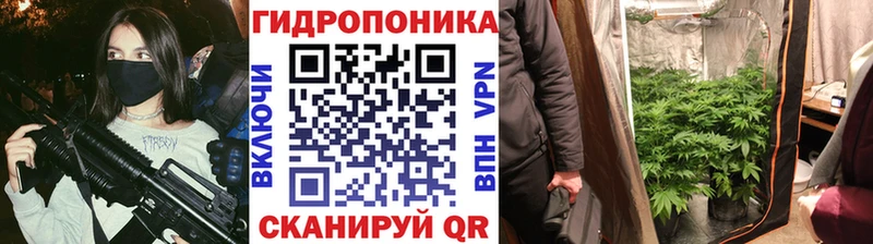 цена   Мурино  Канабис AK-47 